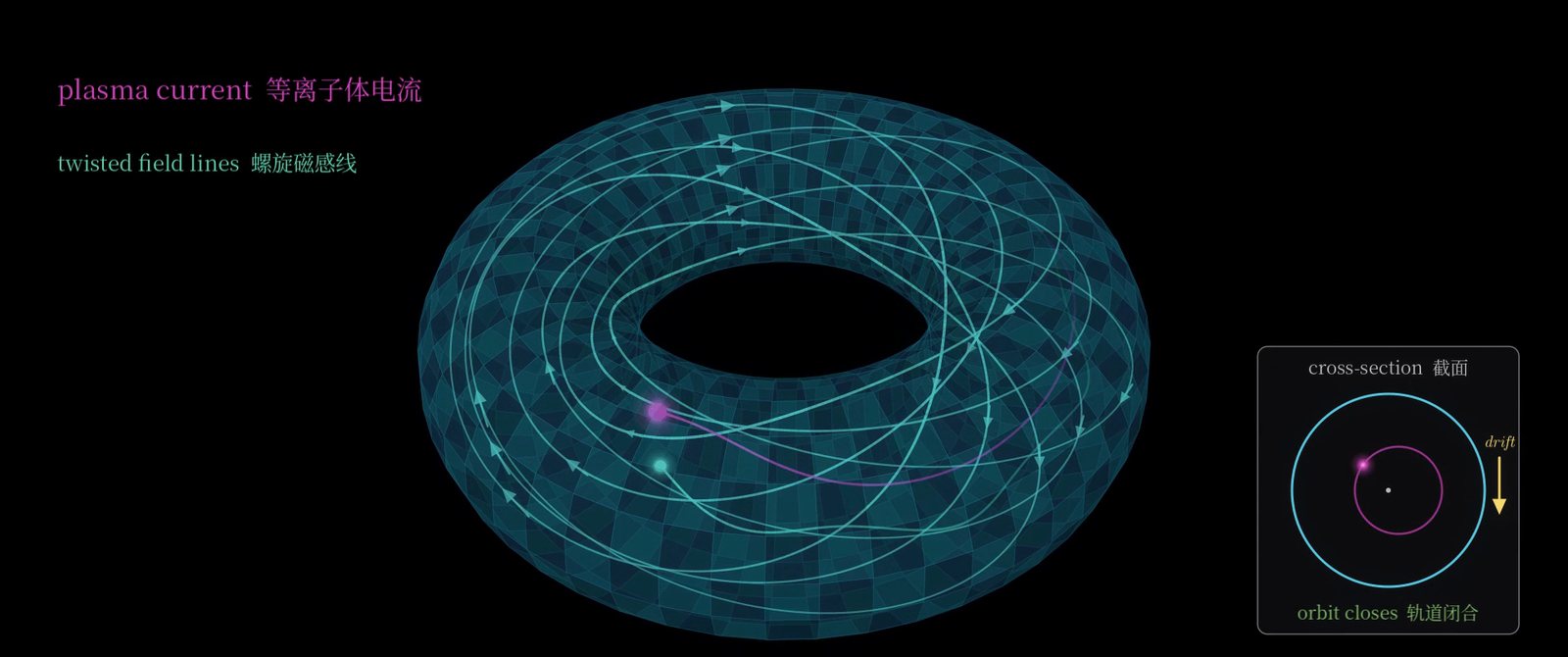 Twisted field lines on a torus, with a cross-section showing a closed orbit